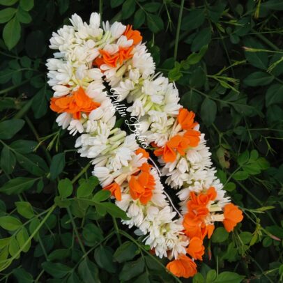 Flower - Mullai with Kanagamaram