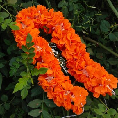 Flower - Kanagamaram