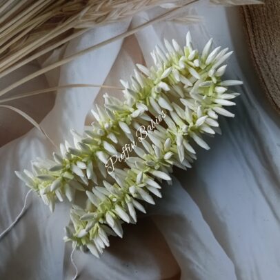 Bud - Pichi Mottu String