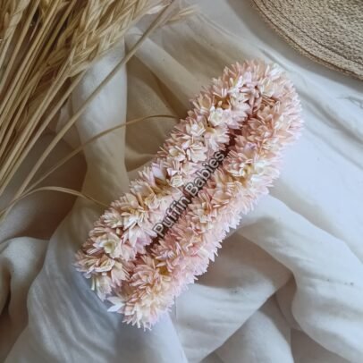Jaathi Malli Aligator